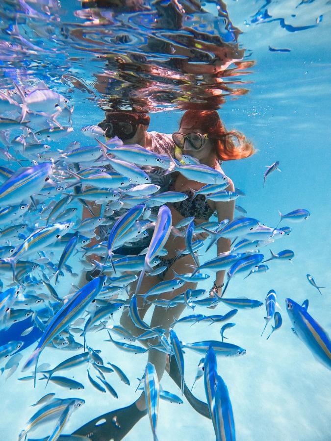 แชลโลว์ ลากูน ราสดู Hotel Rasdhoo ภายนอก รูปภาพ